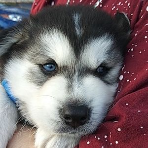 Meet your Posher, Mel